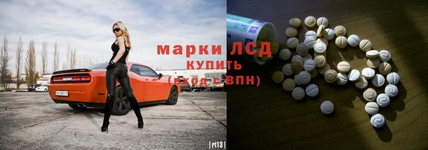 прущие грибы Медвежьегорск