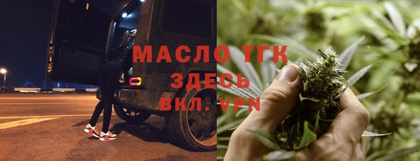 прущие грибы Медвежьегорск