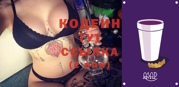 прущие грибы Медвежьегорск