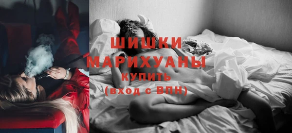 прущие грибы Медвежьегорск