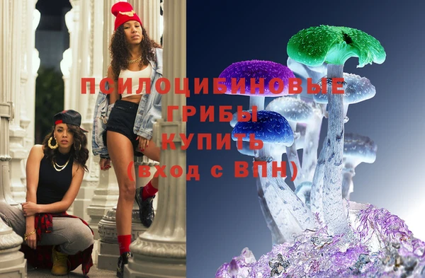 прущие грибы Медвежьегорск