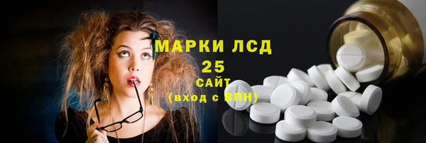прущие грибы Медвежьегорск