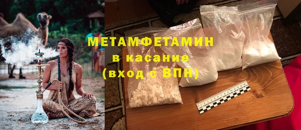 прущие грибы Медвежьегорск