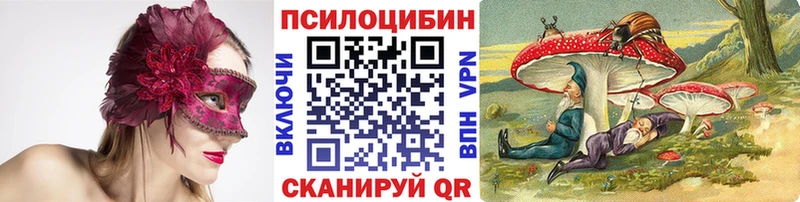 цена   Шахунья  Галлюциногенные грибы MAGIC MUSHROOMS 